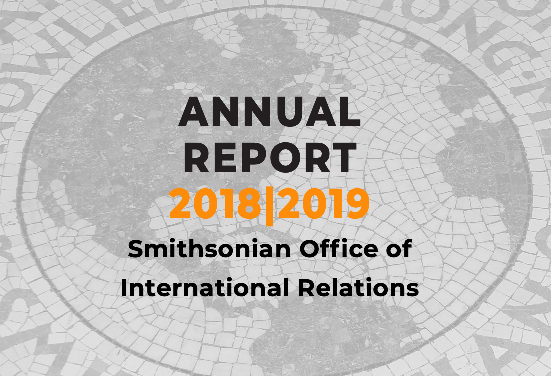 2018|2019 Annual Report on a mosiac background