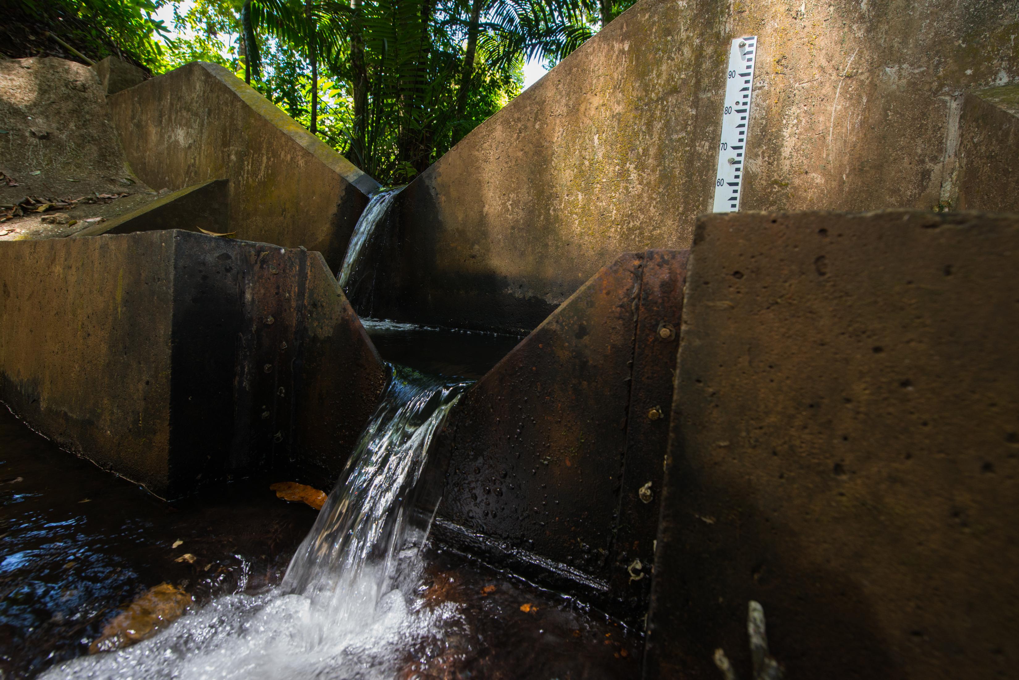 To calculate the total volume of water flowing from a stream, hydrologists measure the height of the water passing through the opening of a small dam, known as a weir. Photo Credit Sean Mattson. To calculate the total volume of water flowing from a stream, hydrologists measure the height of the water passing through the opening of a small dam, known as a weir. Photo Credit Sean Mattson.