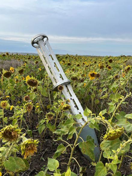 Sunflower field in the outskirts of Izyum, Kharkiv region, Ukraine, October 13, 2022