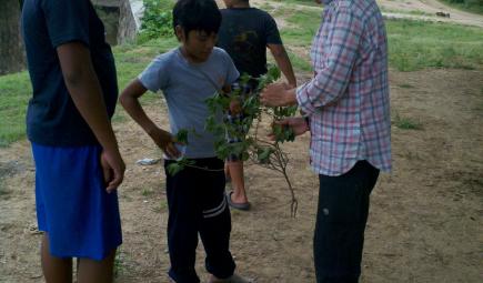 Researcher showing ethnobotanical specimen to children