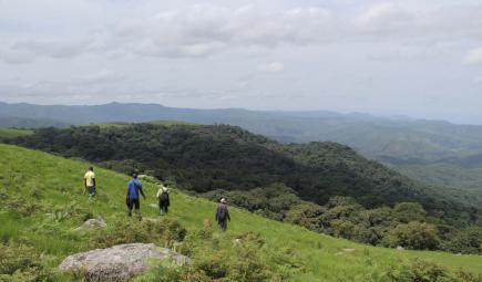 Survey team overlooking montane forests in Nigeria