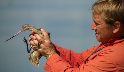Smithsonian conservation scientist holding endangered bird