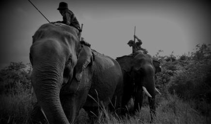 Two men riding Asian elephants in Myanmar