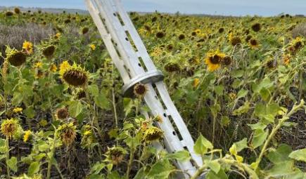 Sunflower field in the outskirts of Izyum, Kharkiv region, Ukraine, October 13, 2022