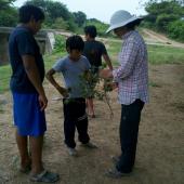 Researcher showing ethnobotanical specimen to children