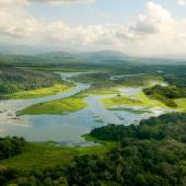 الأنهار والغابات في مستجمعات المياه بقناة بنما