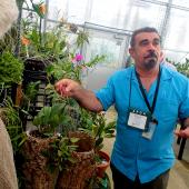Smithsonian orchid specialist giving talk in greenhouse