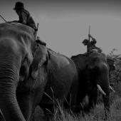 Dos hombres montando elefantes asiáticos en Birmania
