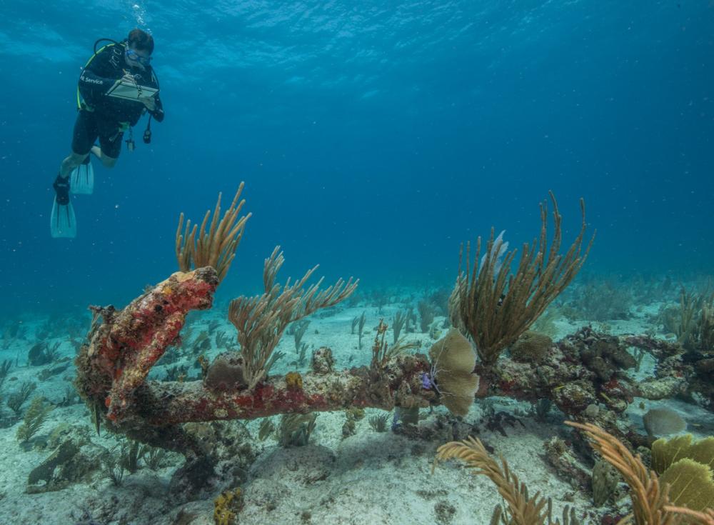 David Morgan, Director of NPS Southeast Archaeological Center in St. Croix, USVI. A site of current Slave Wrecks Project Activity. Credit: Paul Gardullo.