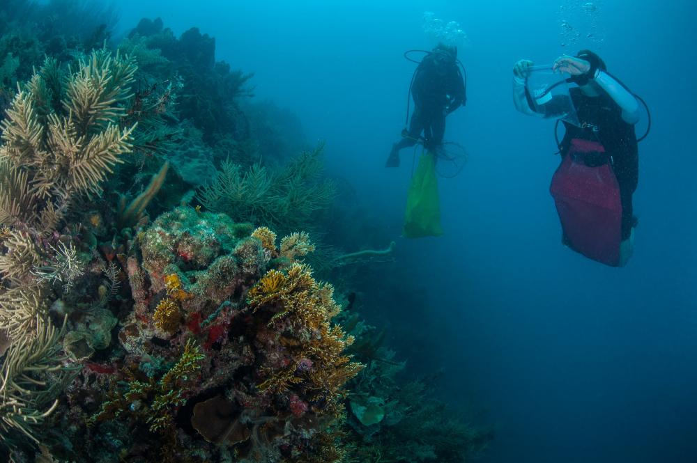 Photo Credit George Stoyle - Earth in Focus Photo Credit George Stoyle - Earth in Focus
