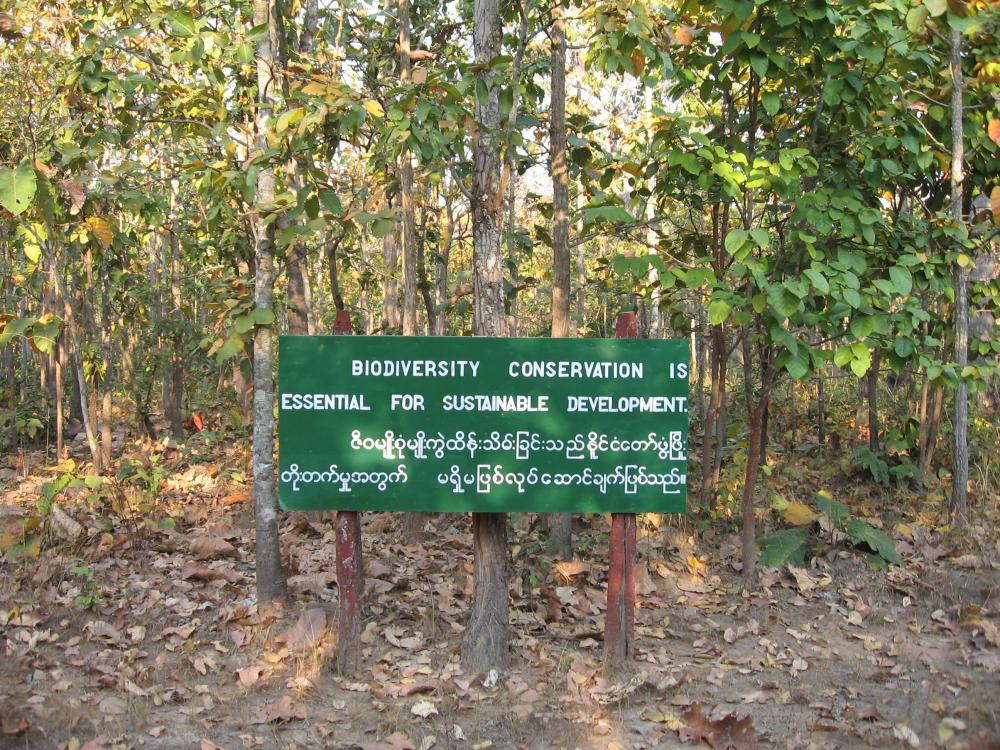 \"Biodiversity conservation is essential for sustainable development,\" at the Chatthin Wildlife Sanctuary. Photo credit Mel Songer.