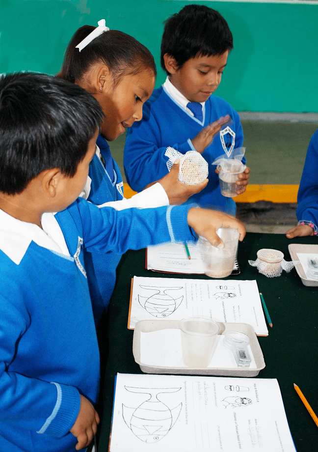 Students in classroom.