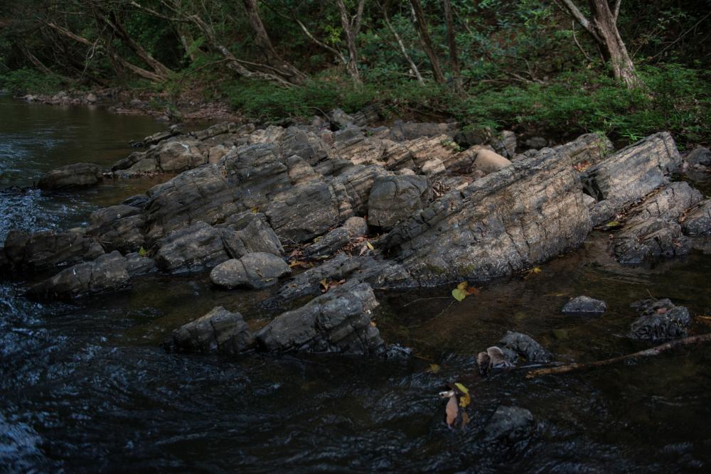 Rocks from the Ocú Formation jut out of the water in Río Palo Seco. Photo credit Sean Mattson.