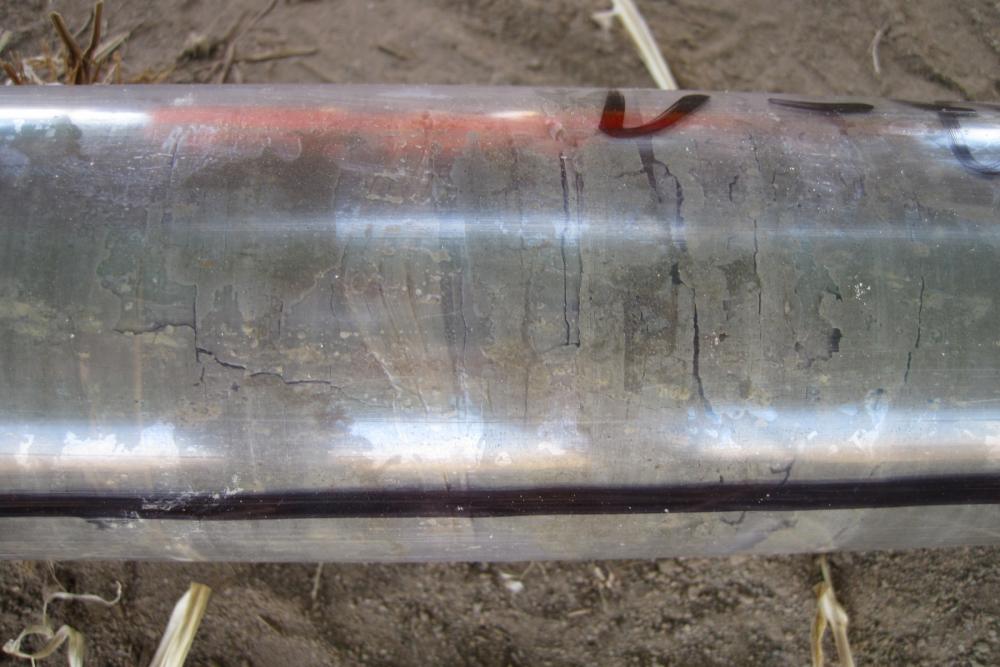The laminations visible through the drill core liner suggest that even changes in the annual seasons of rainfall and vegetation are preserved in this core. Photo credit: Smithsonian Institution.
