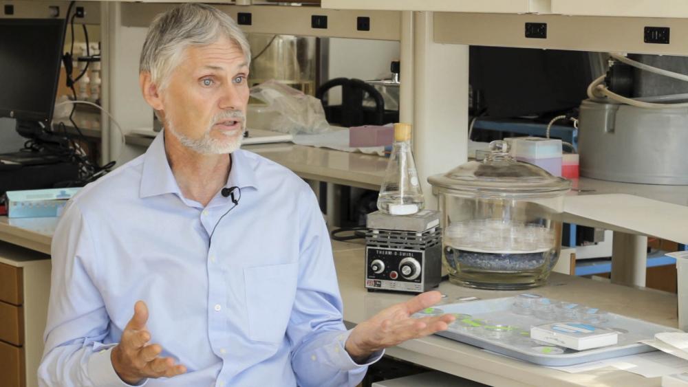 Pat Neale at his Photobiology Lab at the Smithsonian’s Environmental Research Center. Credit: Maria Sanchez/Smithsonian.	