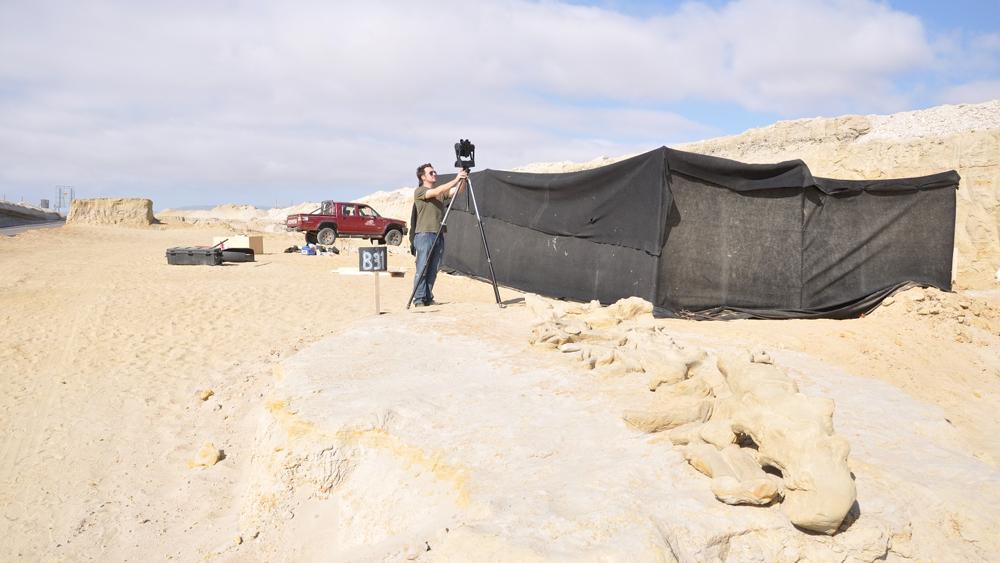 Fossil site MPC 675. Photo Credit Smithsonian Institution Fossil site MPC 675. Photo Credit Smithsonian Institution