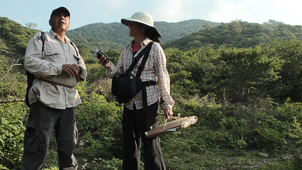 Field elicitation by Gabriela with knowledge bearer Fernando Sánchez López on location description and associated plants at a collection site in La Ventosa, Juchitán de Zaragoza, Oaxaca in September 2014. Photo credit: Gibrán Morales Carranza.