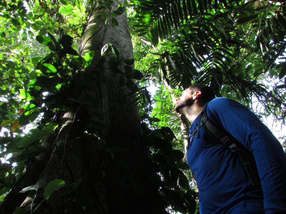 Javier stands at the base of a tree.