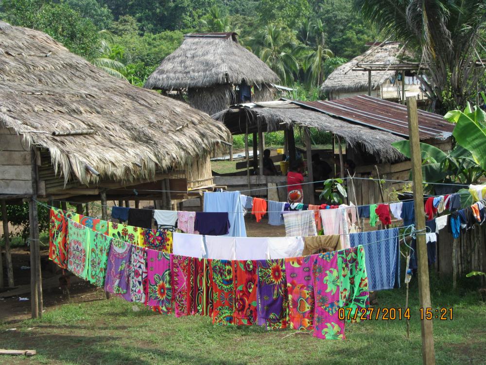 Traditional thatched-roof huts